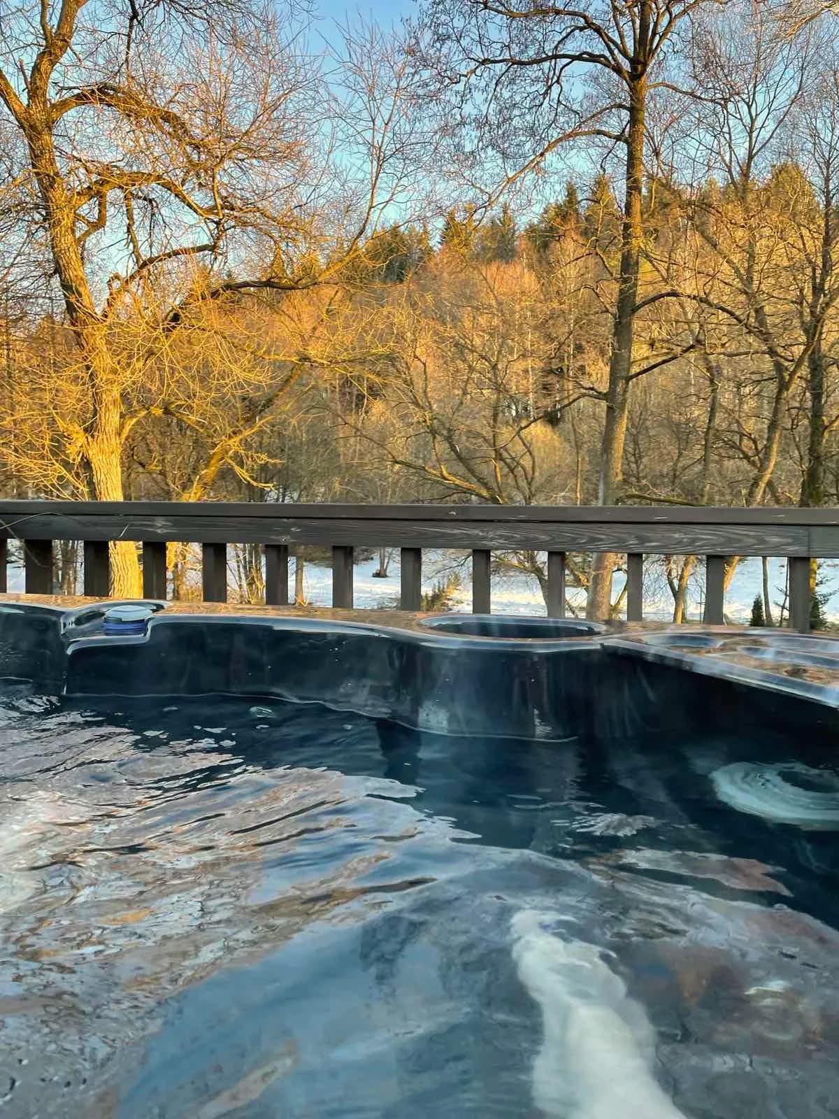 Джакузи под открытым небом: струи бьют по прозрачной воде, за перилами голые деревья парка и снег в низком солнце